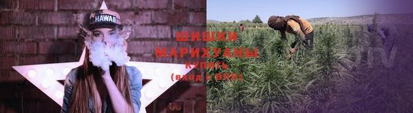 мет Заречный