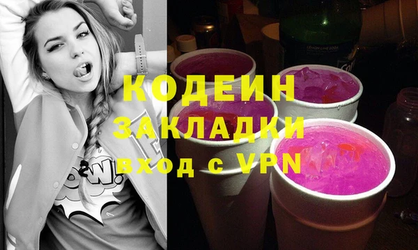 индика Сосновка