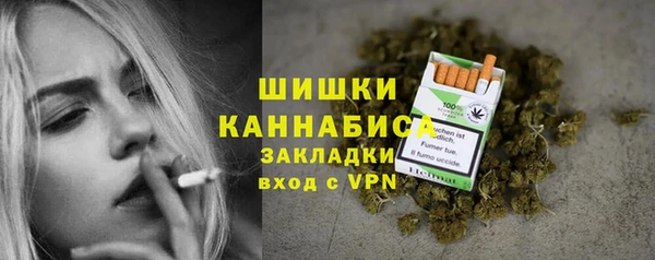 гидропоника Бородино